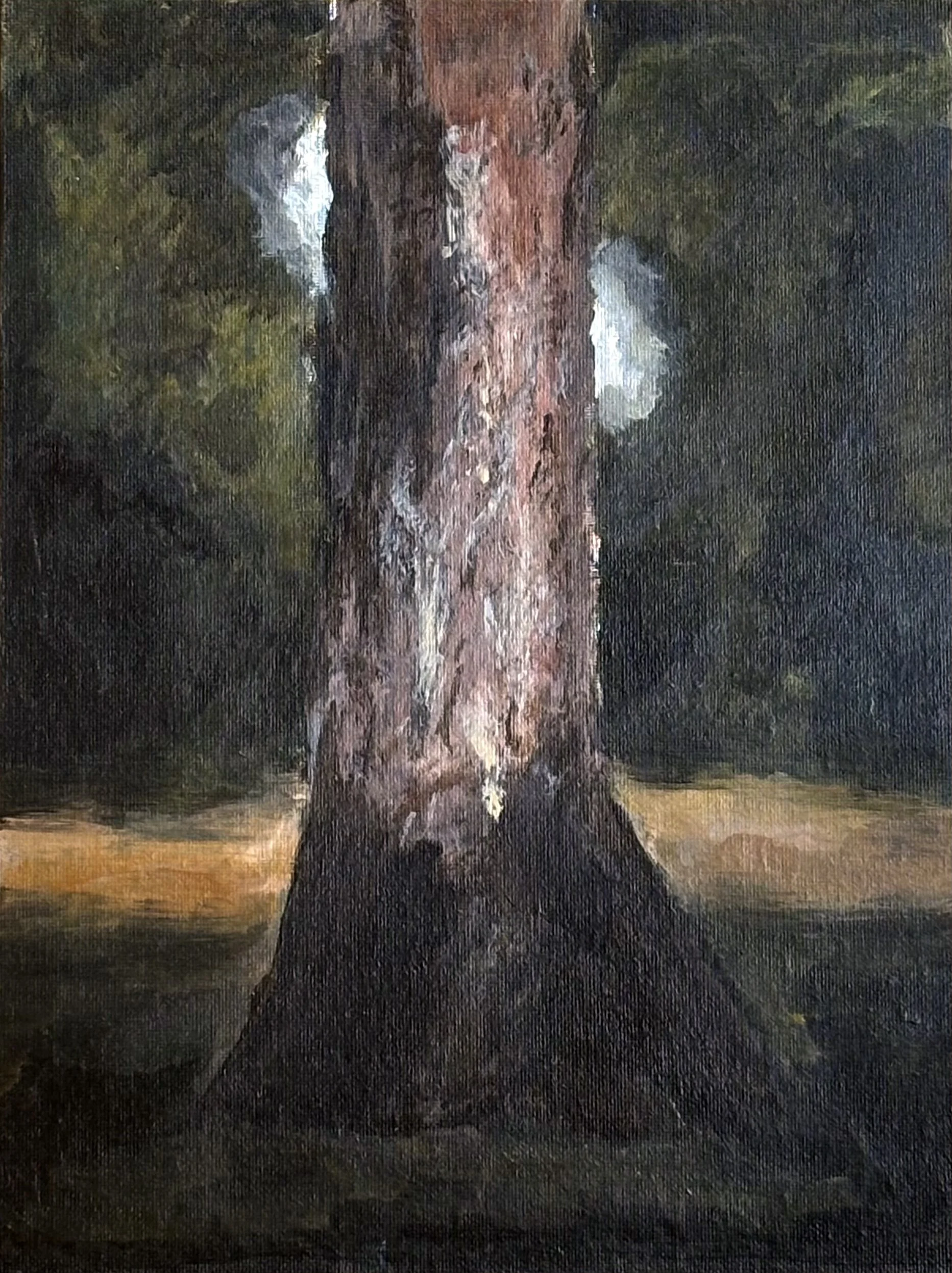 image--160-10.jpg