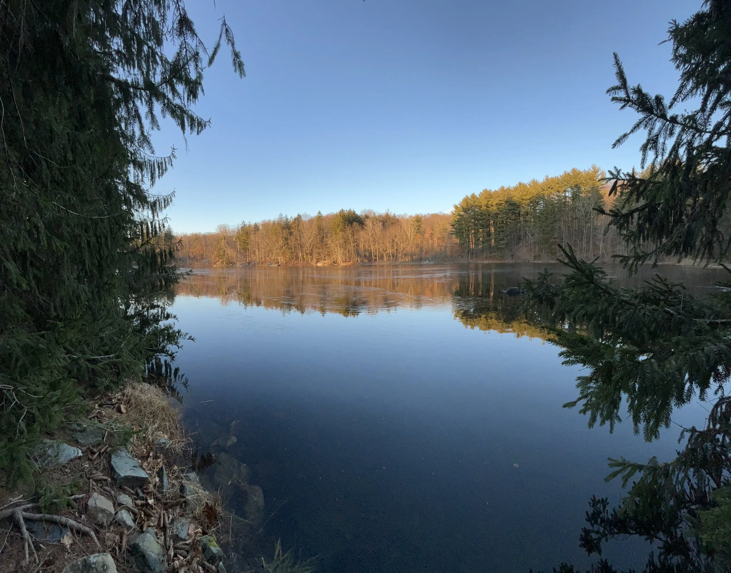 image--141-8.jpg