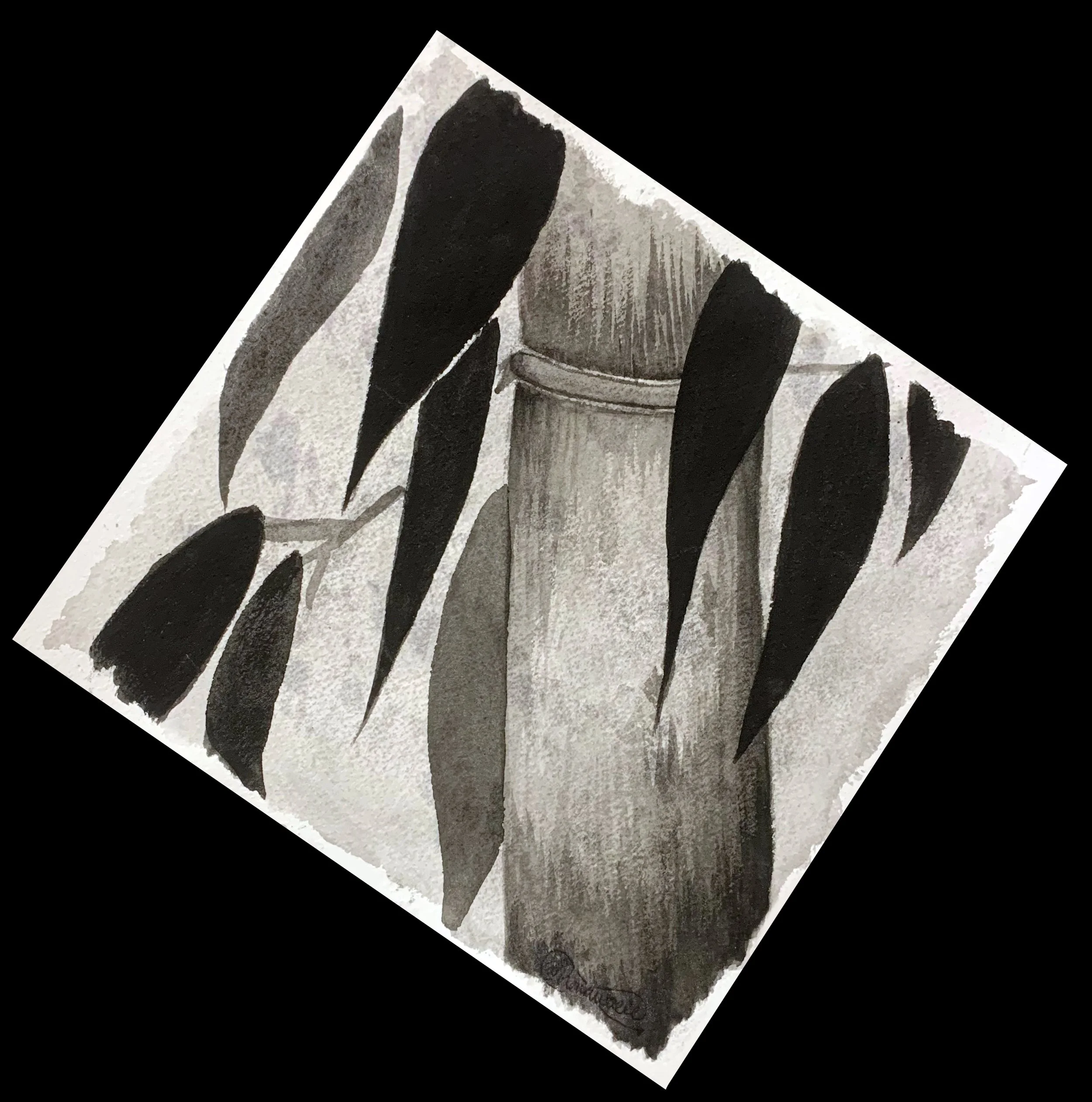 image--137-2.jpg