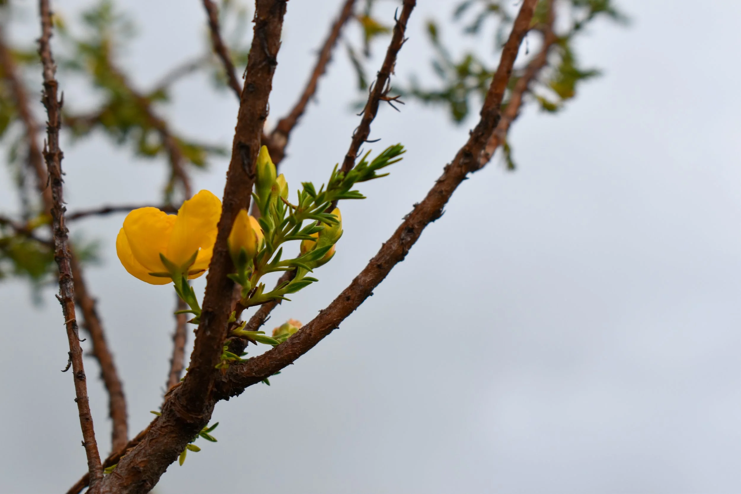 image--136-4.jpg