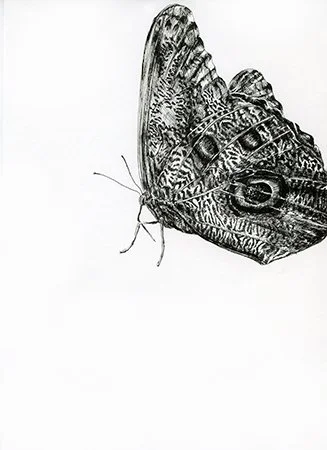 image--1-19.jpg