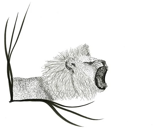 image--20-7.jpg