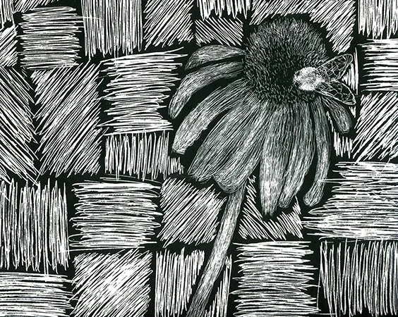 image--20-17.jpg