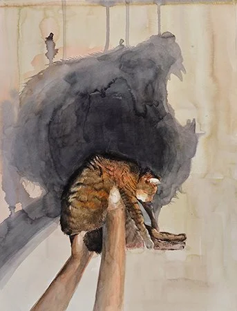 image--25-7.jpg
