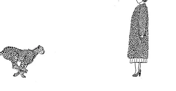 image--25-18.jpg