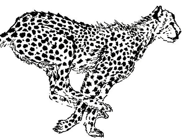 image--25-19.jpg