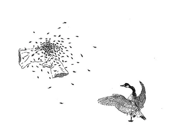 image--25-20.jpg