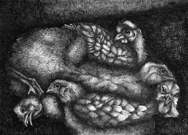 image--29-1.jpg