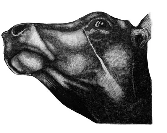 image--29-4.jpg