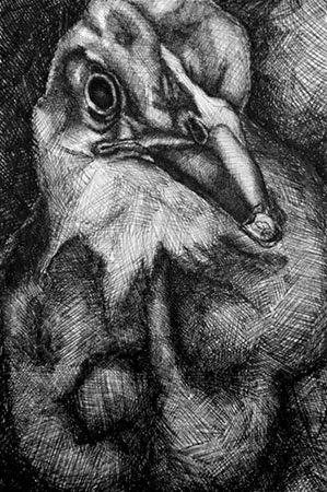 image--29-10.jpg