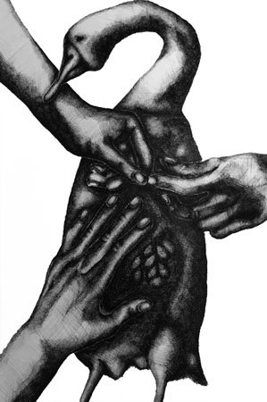 image--29-11.jpg
