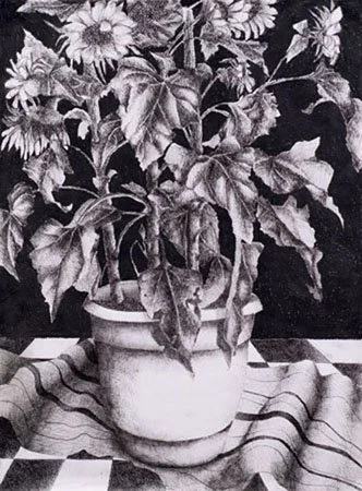 image--29-16.jpg