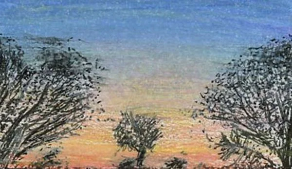 image--35-2.jpg