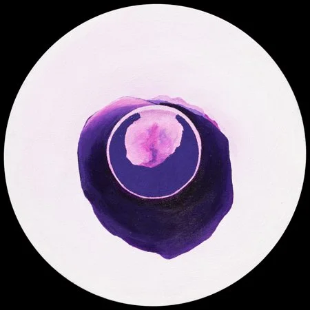 image--41-24.jpg