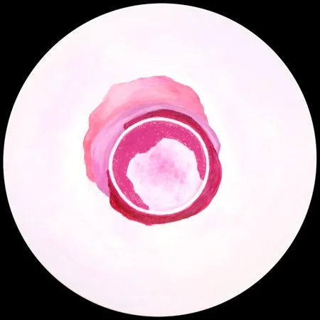image--41-33.jpg