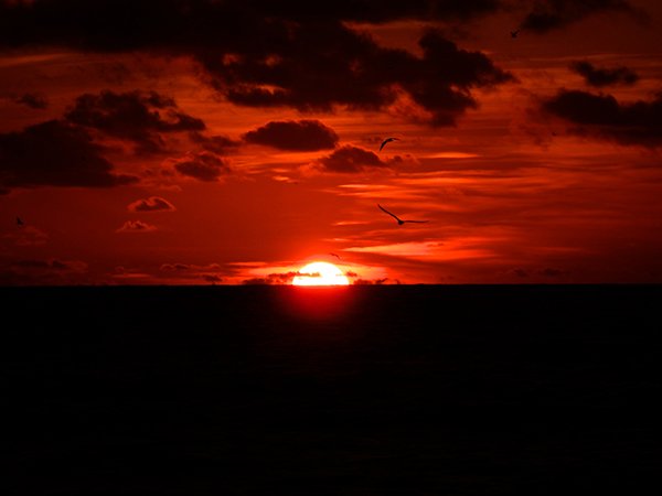 image--55-4.jpg