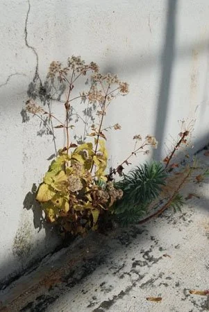 image--73-11.jpg