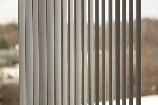 image--74-15.jpg