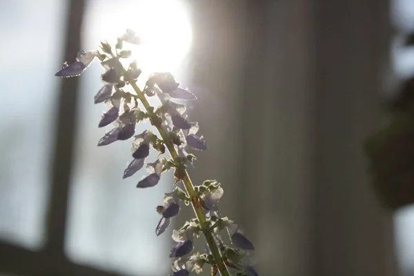 image--74-17.jpg