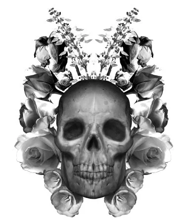 image--74-22.jpg