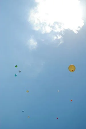image--75-0.jpg