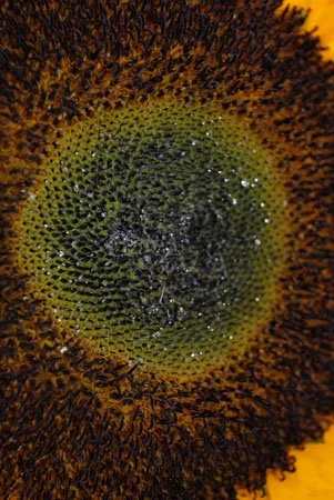 image--75-6.jpg