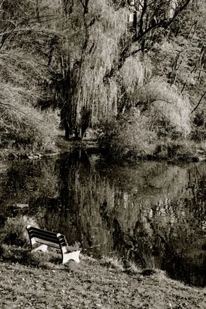 image--75-9.jpg