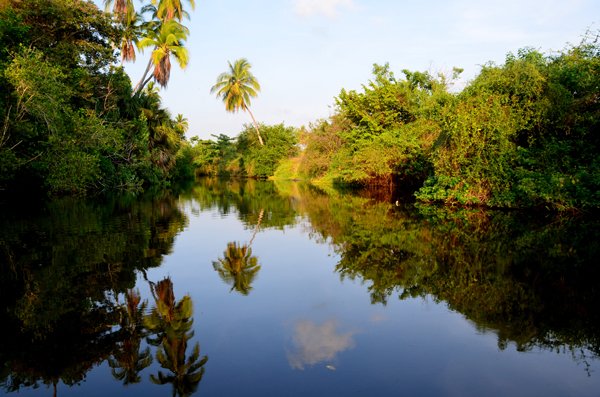 image--78-4.jpg