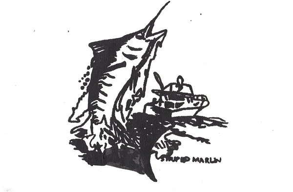 image--79-7.jpg