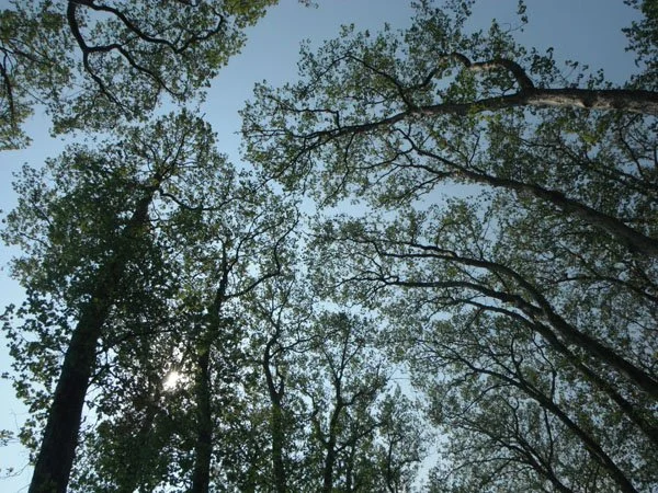 image--81-11.jpg