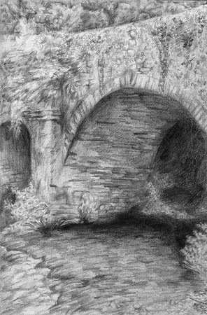 image--83-10.jpg