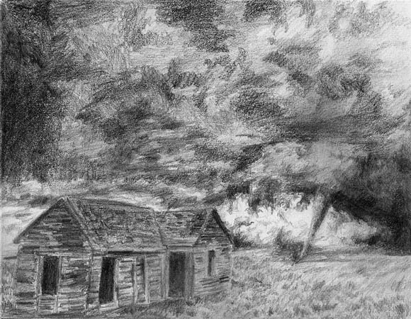 image--83-11.jpg
