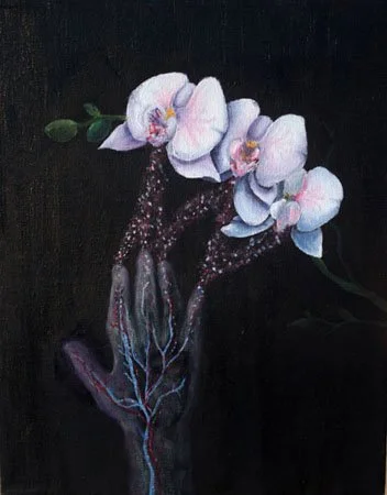 image--86-14.jpg
