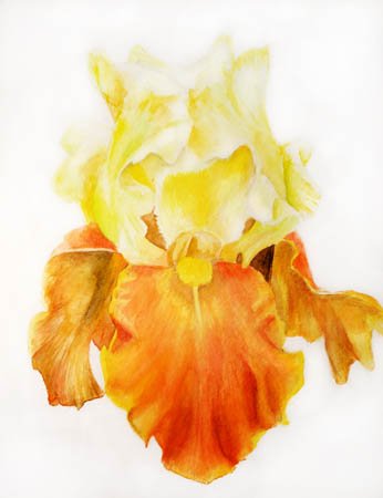 image--87-4.jpg