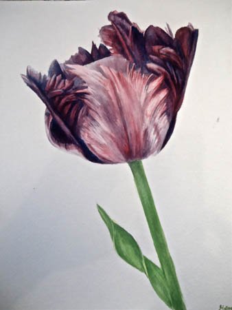 image--87-7.jpg