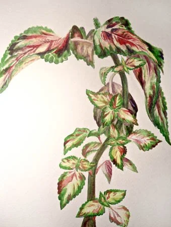 image--87-8.jpg
