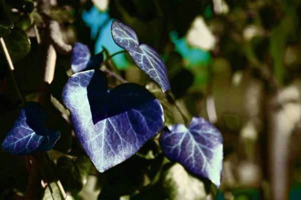 image--92-9.jpg