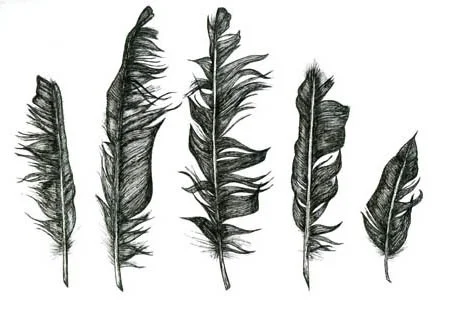 image--103-5.jpg