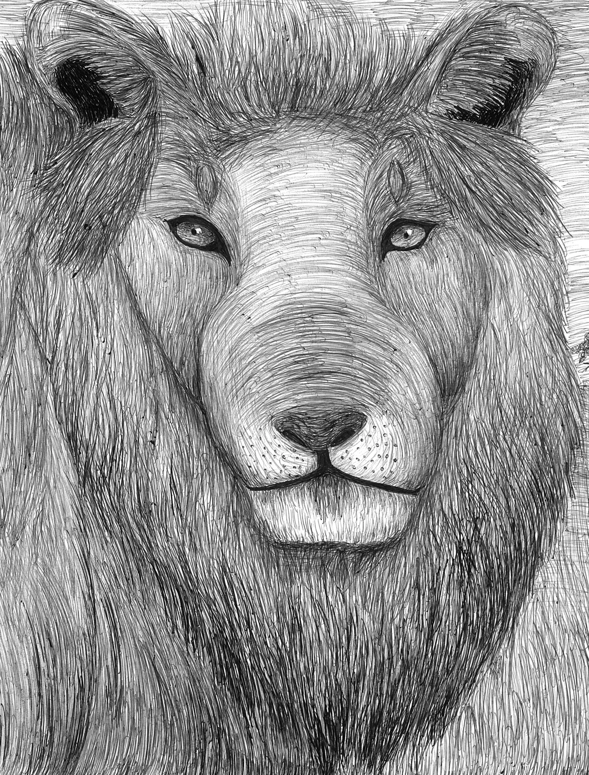 The Gray Lion.jpg