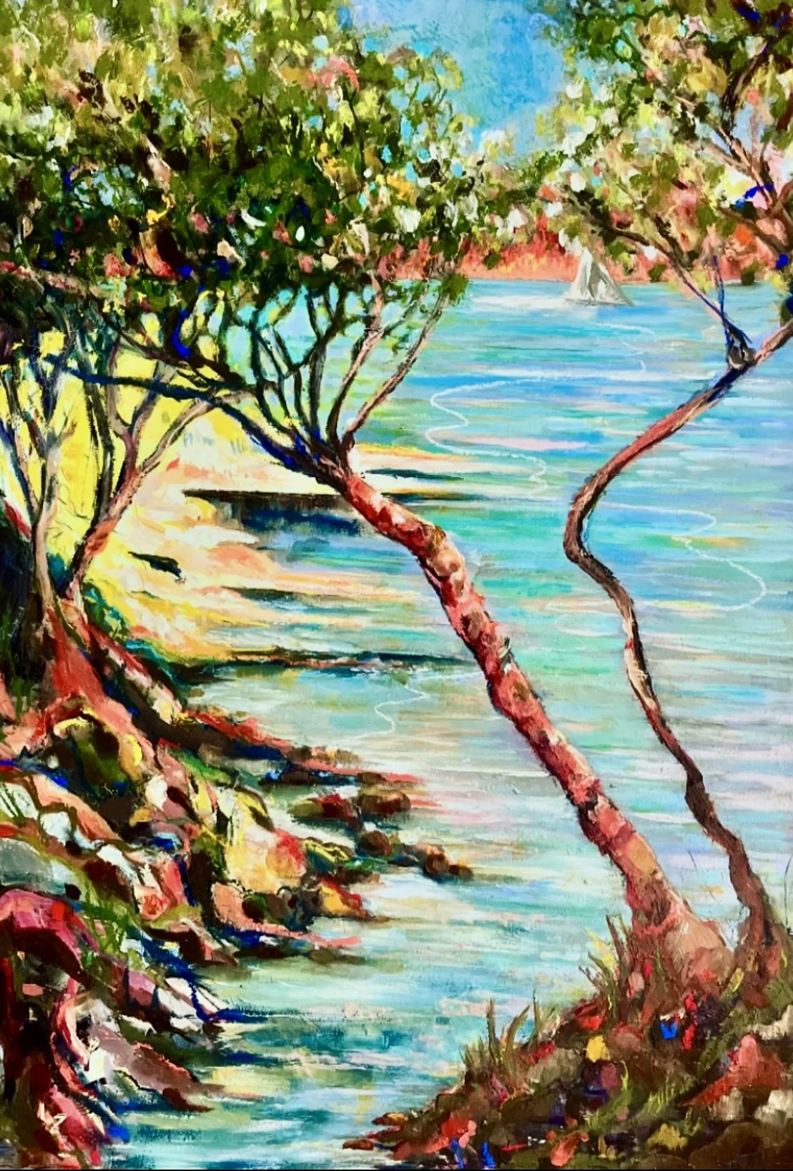 Shading @ the Bay of Figs and Salt
