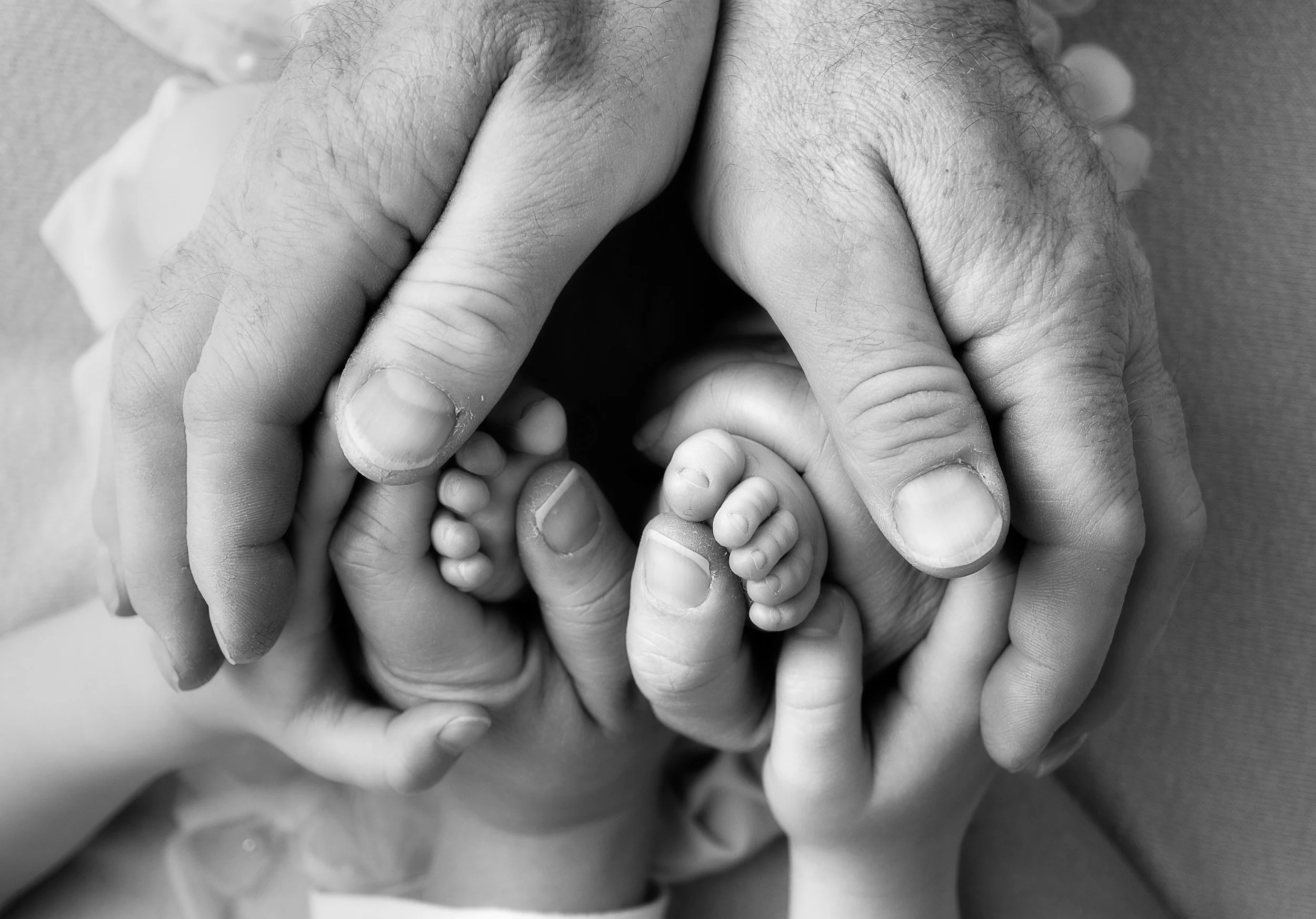 Close-up of an adult hand holding a baby's tiny hand, both in grayscale.
