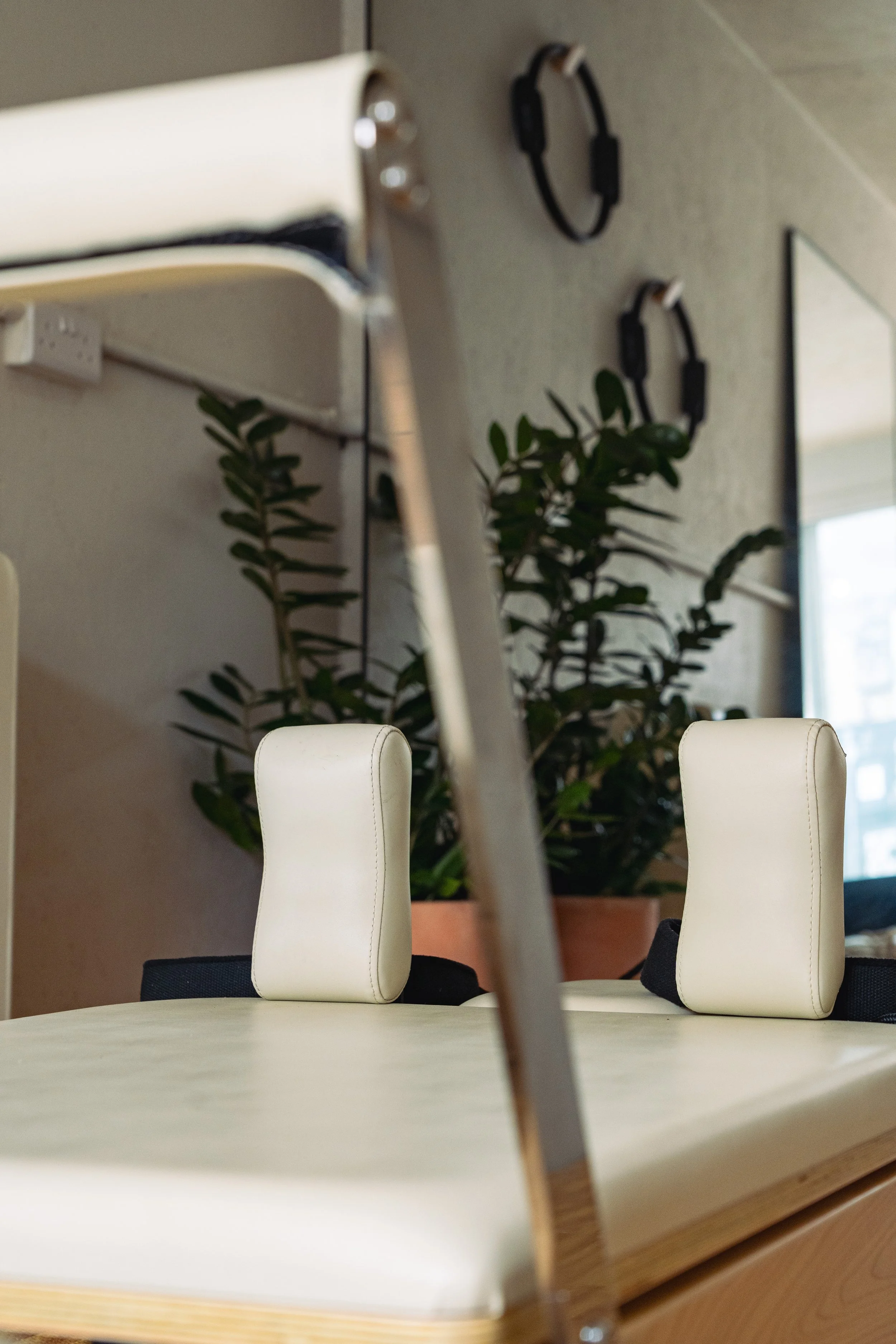 A conference room table with white cushioned chairs, a large potted plant in the background, and a mirror on the wall, with a large window providing natural light.