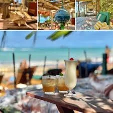Treehouse Beach Club
