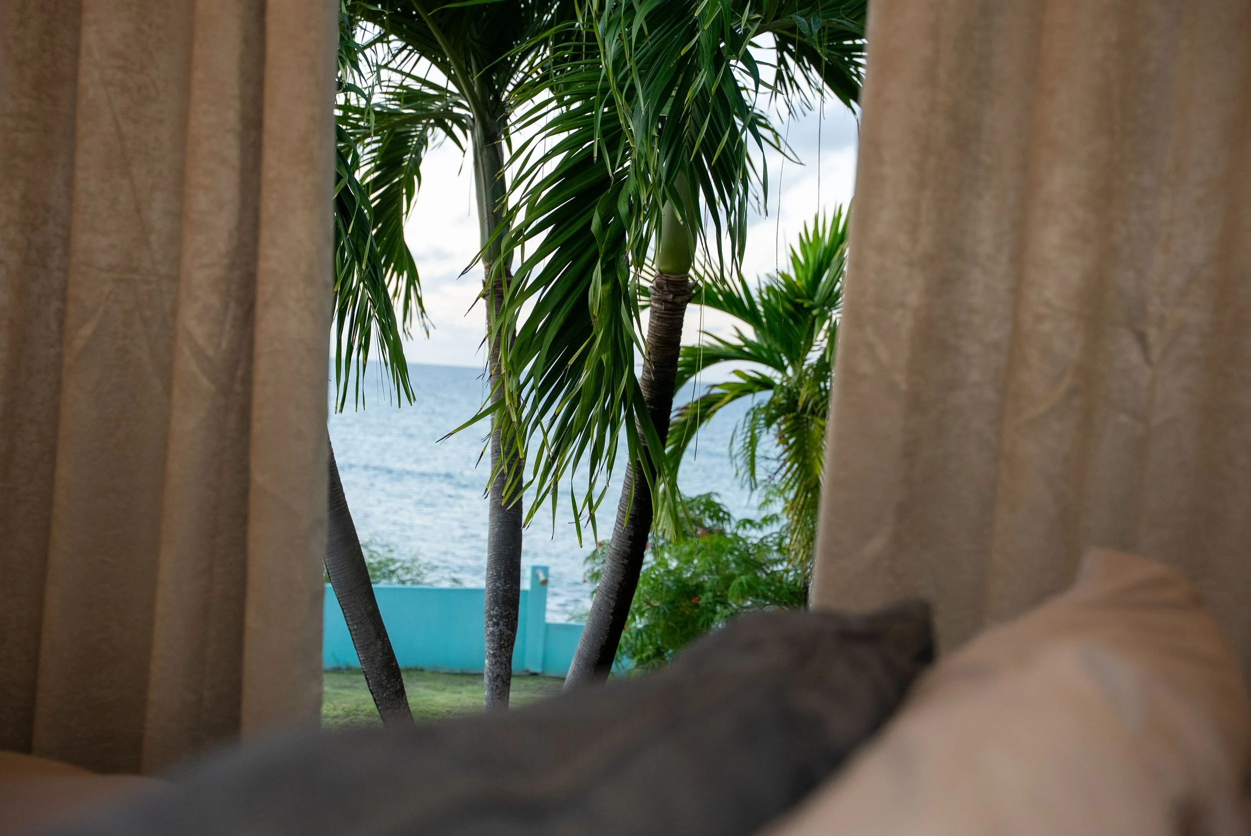 View of palm trees through a window with beige curtains in the foreground, overlooking a body of water in the distance.