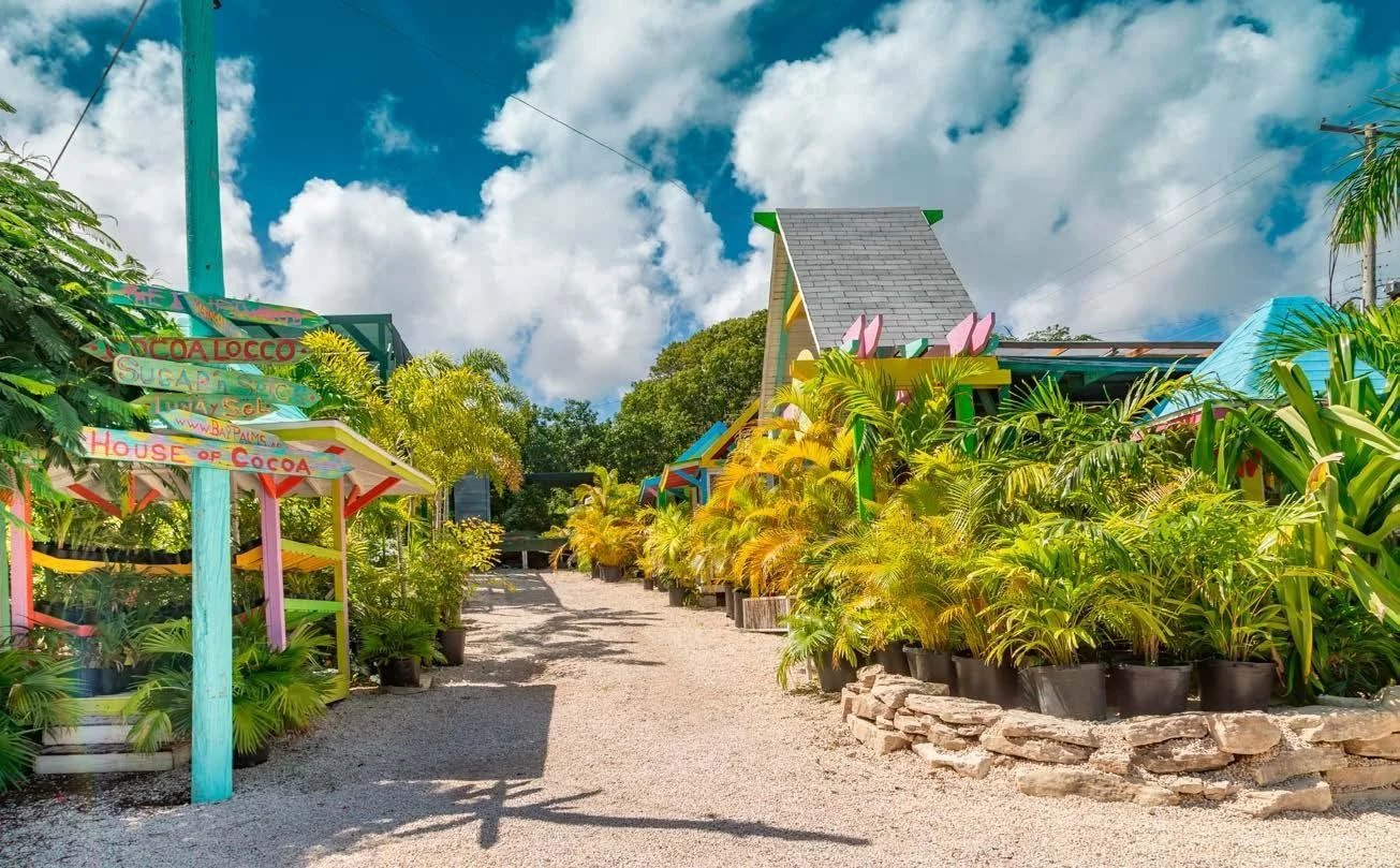 Colorful garden store with potted plants, signs, and a small building under a partly cloudy sky.