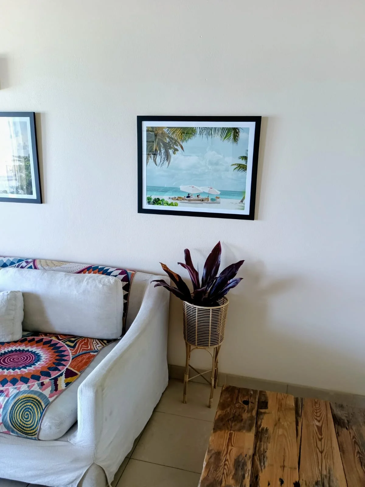 A living room wall with a framed beach scene photo, a white couch with colorful patterned cushions, a tall plant in a woven basket, and a rustic wooden table.