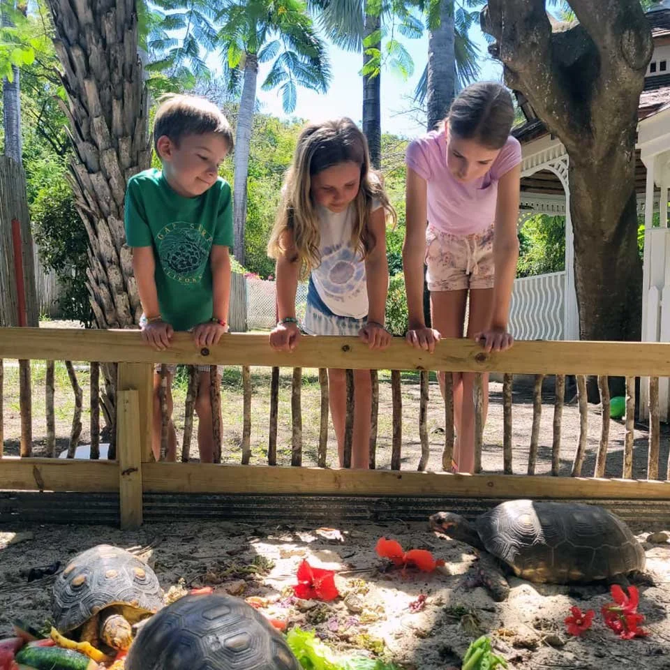 Antigua with Kids: The complete family guide