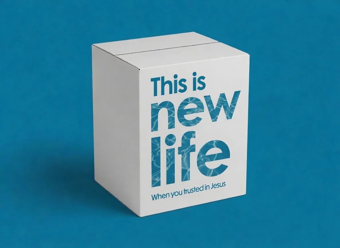 This is New Life - Pack of 50