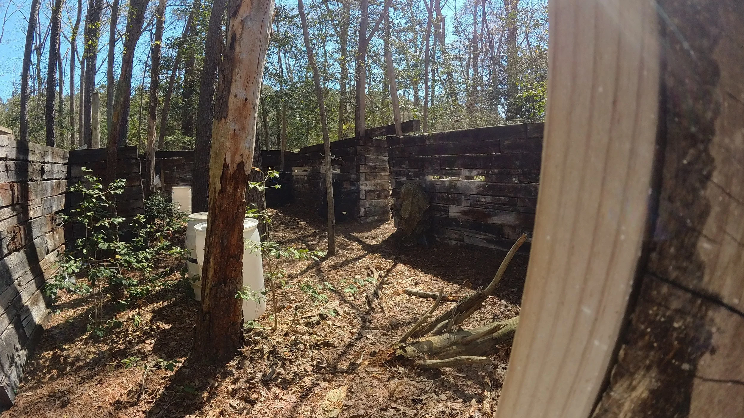 A wooded outdoor area with trees and a wooden fence covered in dark, weathered planks. There are some small plants and debris on the ground, with sunlight filtering through the trees.
