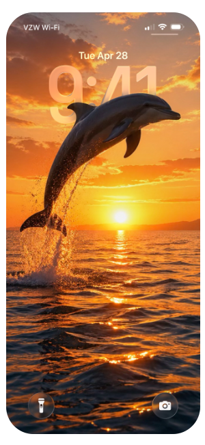 sunshine dolphin ocean wallpaper background iPhone android iOS